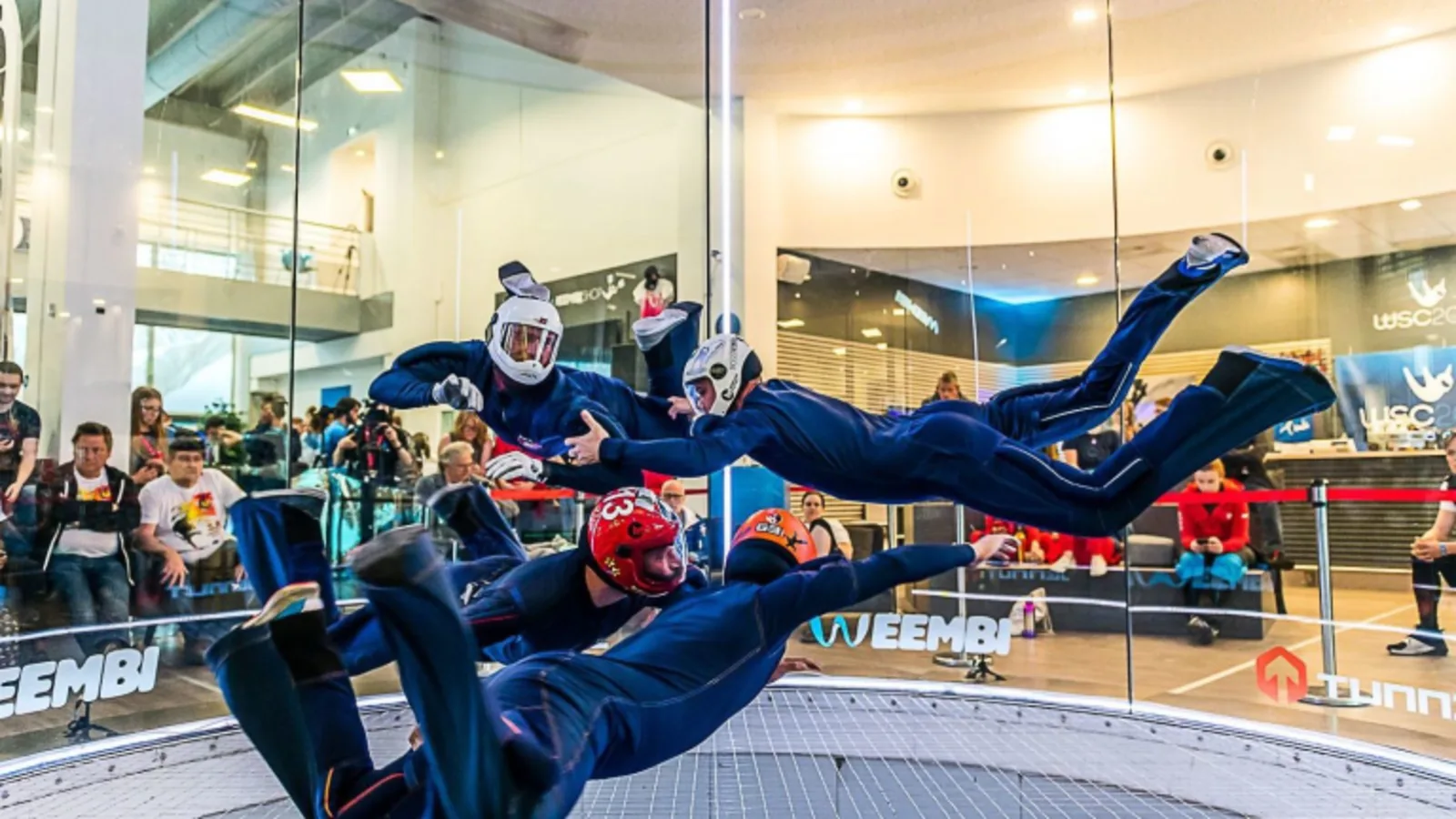 Llfl7jg7s0gj7ibbpnvt